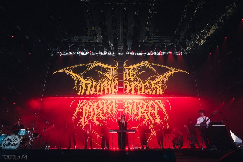 Męskie Granie 2025 Gdańsk