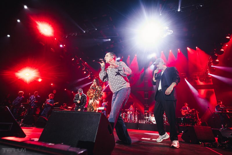 Męskie Granie 2025 Gdańsk