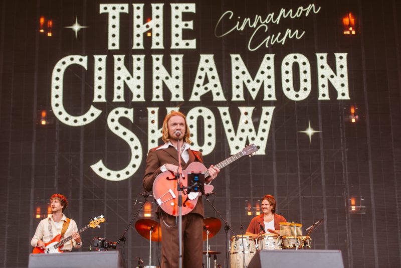 CINNAMON GUM