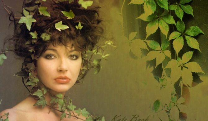 Nowy singiel Kate Bush