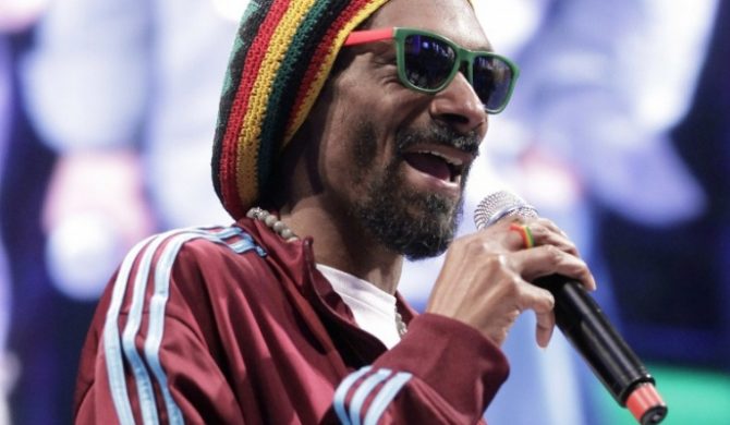 Snoop Lion ścigany za podatki