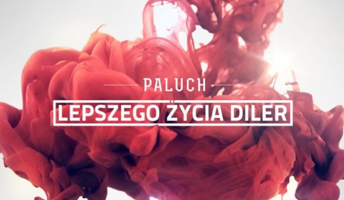 Paluch na bicie Donatana (audio)