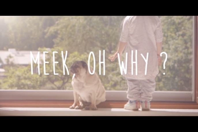 Meek, Oh Why? – nowy artysta w Asfalt Records