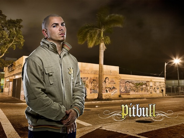 Pitbull od kulis