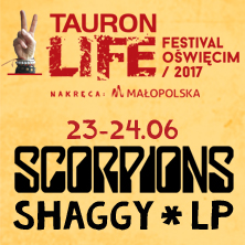 Life Festival Oświęcim 2017