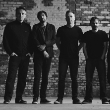 The Pineapple Thief