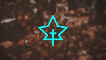 Terapeutyczna moc muzyki z TIDAL