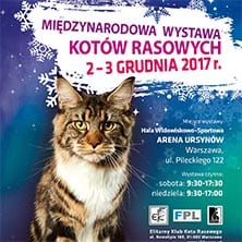 Międzynarodowa Wystawa Kotów Rasowych