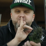 Mops z numerem na cześć marihuany