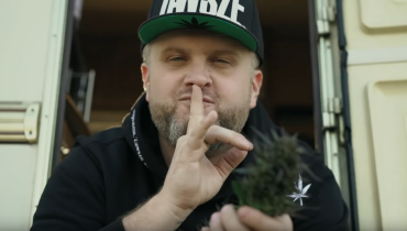 Mops z numerem na cześć marihuany