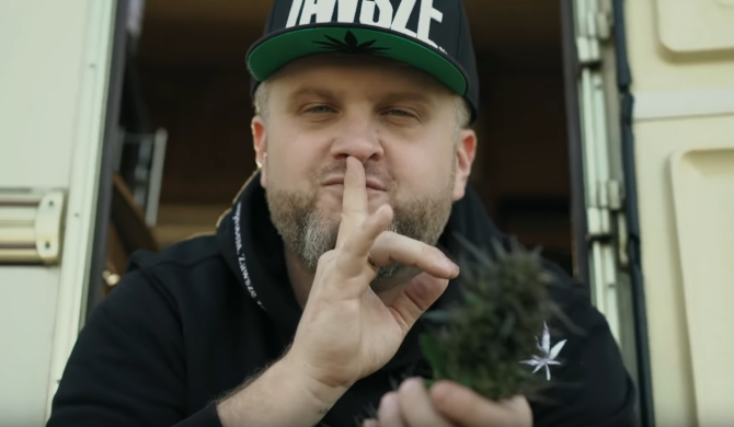 Mops z numerem na cześć marihuany