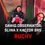 Dawid Obserwator, Śliwa i Kaczor BRS we wspólnym numerze