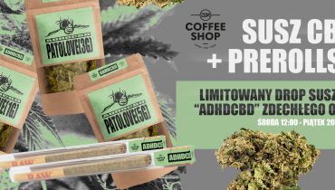 Limitowany drop CBD Zdechłego Osy tylko w CGM Coffee Shopie