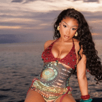Megan Thee Stallion spotyka się z gwiazdą NBA?