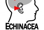 ECHINACEA FEAT. NUMER RAZ – "Czekając na falę"