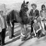 Bilety na koncert Belle & Sebastian już w sprzedaży