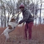 Toro Y Moi – dodatkowy koncert