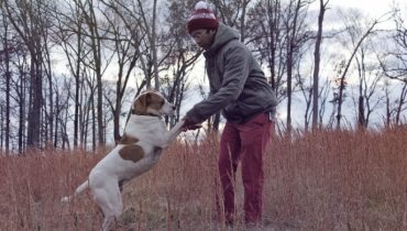 Toro Y Moi – dodatkowy koncert