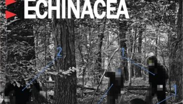 Echinacea: okładka, tracklista, preorder…