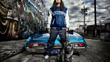 „Weird Al” Yankovic wydaje nowy album