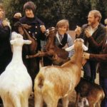 Beach Boys: Daleko nam do The Beatles
