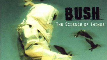 Nowy album Bush