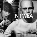 Niwea w Urban Garden