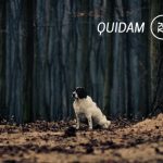 Quidam – nowy album już za miesiąc