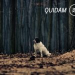 Quidam prezentuje utwory