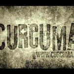 Zbliża się premiera nowego albumu Curcuma