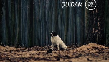 Quidam – nowy album już do nabycia