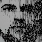 Zjawin „The Way Of The Clouds” (video)