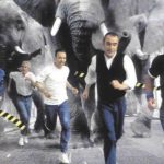 Status Quo nakręcą film akcji