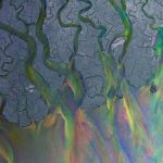 Debiutancki album Alt-J już w Polsce