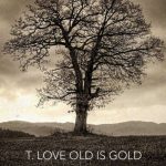 Zobacz nowy teledysk T.Love – video