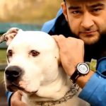 miloMailo – „Projekt” – video