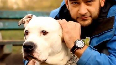 miloMailo – „Projekt” – video