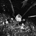 Echinacea feat. Numer Raz – „Target” (video)