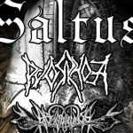 XVI urodziny Saltus