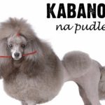 Kabanos – „Na Pudle” już jest