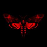 Lil Wayne, Drake i Future w jednym teledysku – video