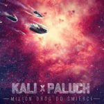 Kolejny singiel z płyty Kaliego i Palucha (audio)