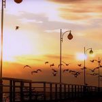 Nowy klip: Gedz – „Lekki Wieje Wiatr” (instrumental)