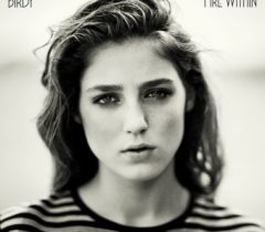 Birdy – "Fire Within"