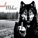 Jamal – nowa płyta już za tydzień