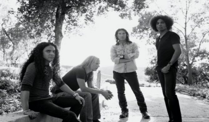 Klip na dzień: Alice In Chains – „Check My Brain”