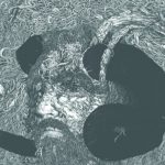 Czarny Porzecz & Doktor Fatalny szykują „najbardziej awangardowy hip-hopowy album tego roku”