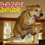 Weezer z latającym psem