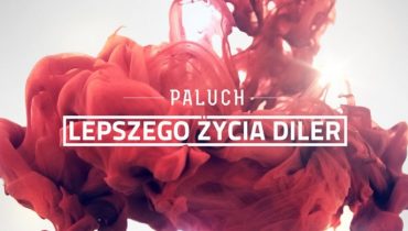 Paluch na bicie Donatana (audio)