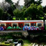 Official Vandal – „One Love” (wideo)